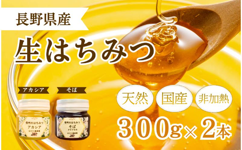 国産 生はちみつ 300g 2本セット アカシア ソバ セット 詰め合わせ 国産はちみつ 国産ハチミツ 天然蜂蜜 はちみつ 蜂蜜 ハニー 天然国産 非加熱 食べ比べ 食べ比べセット 信州産 長野県産